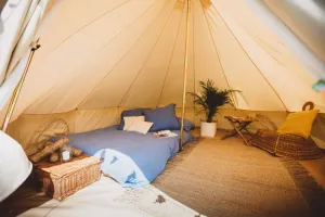 freedom-camping-9031_ca2ba776-3320-487e-ab1e-f8bac66973b2_700x